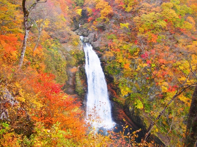 Akiu Great Falls in Autumn. 