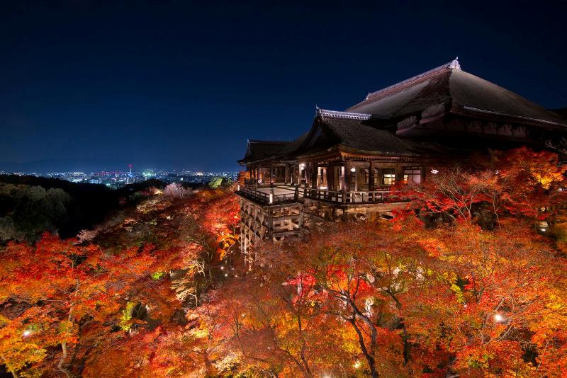 Autumn leaves at night, Kiyomizudera Temple in Kyoto.