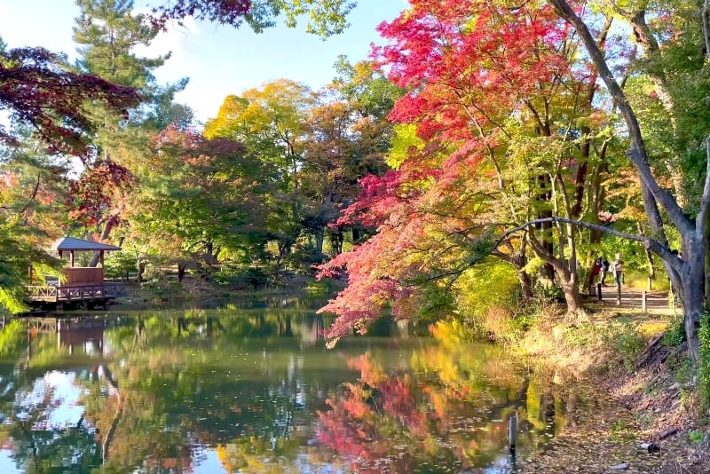 Kyoto Botanical Gardens in Autumn