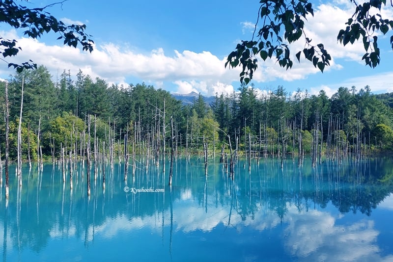 Blue Pond, Biei