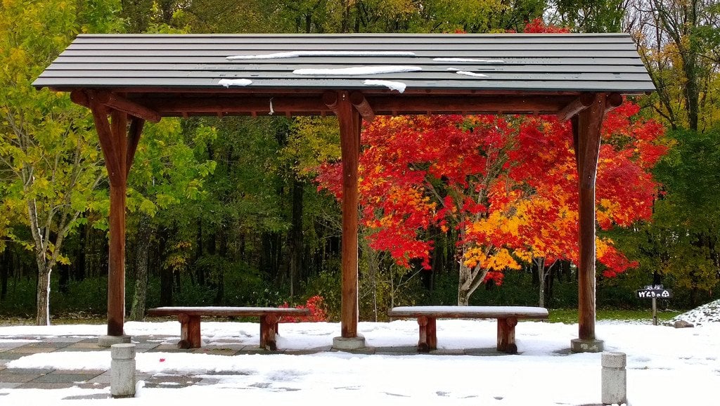 Color_of_Fall_in_Hokkaido