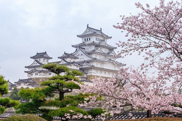 Himeji Castle and Cherry Blossoms in Spring Himeji Castle and Cherry Blossoms in Spring