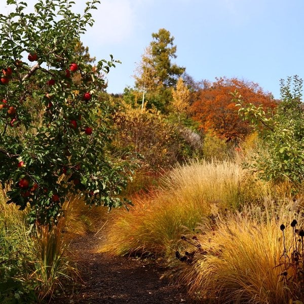 Jozankei Farm in Autumn, Sapporo