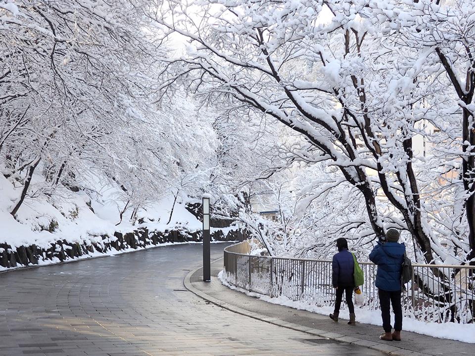Street view at Jozankei in Winter