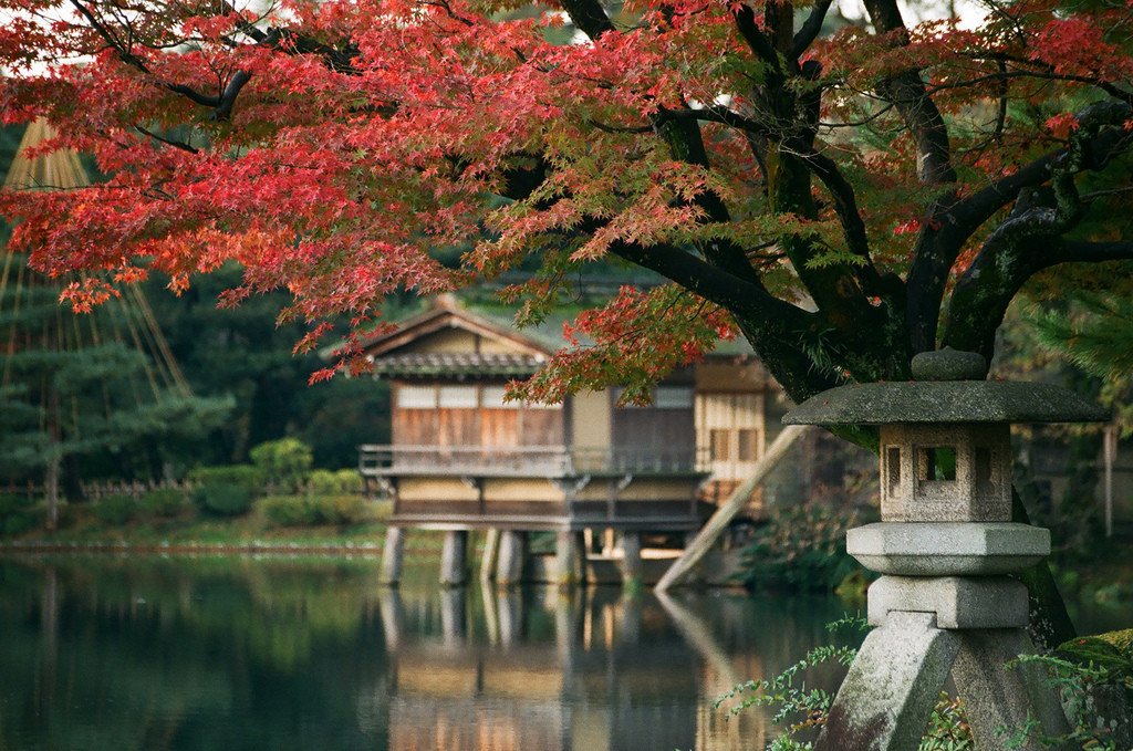 kenrokuen_garden_autumn