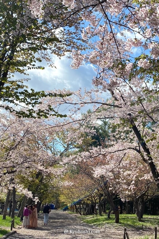 Maruyama Park in Sapporo during spring
