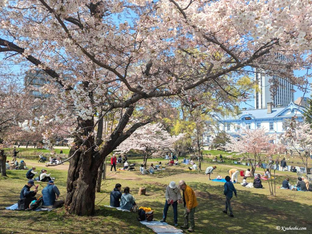 Nakajima Park's hanami, Sapporo