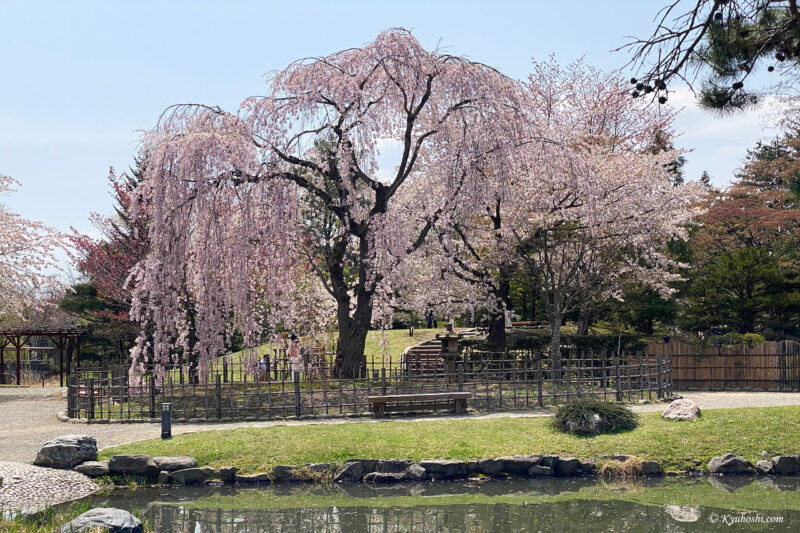 Sapporo Spring Itinerary