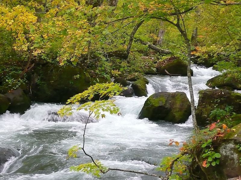 Oirase Stream during early Autumn, Japan
