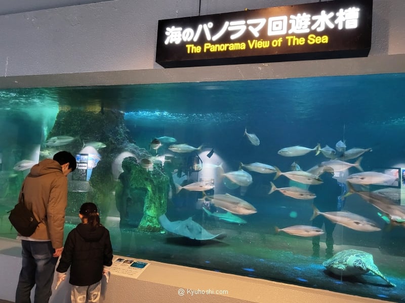 Otaru Aquarium Fish Tank