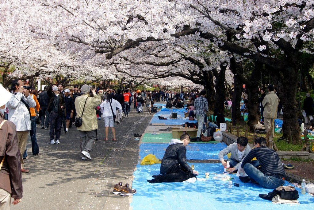 placing_shoes_ueno_park_hanami