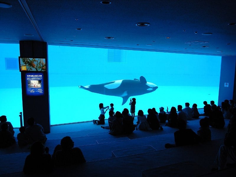 Port of Nagoya Public Aquarium, Japan