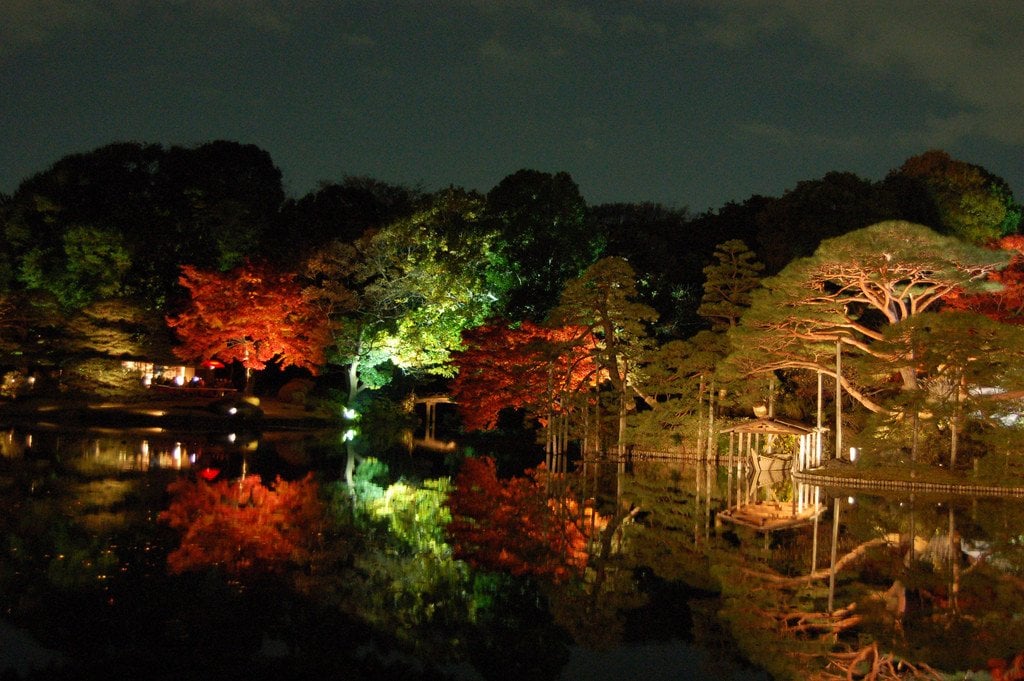 Rikugien_Garden_Night_Autumn_Colors_Tokyo