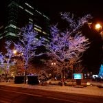 Sapporo White Illumination, Hokkaido