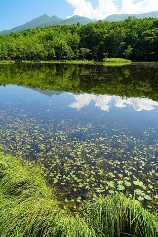 Shiretoko Goko Lakes, Hokkaido Shiretoko Goko Lakes, Hokkaido