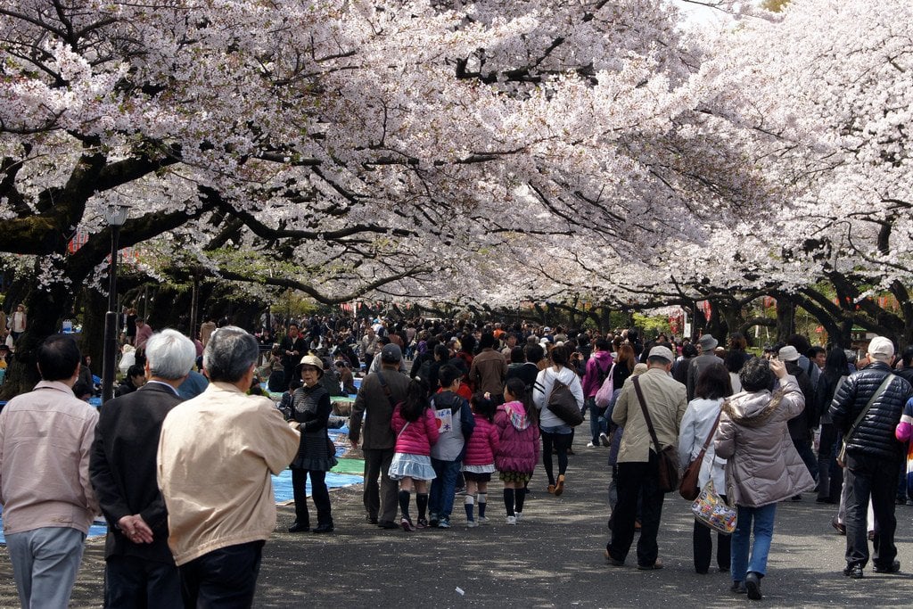 strolling_around_hanami_ueno_park_tokyo