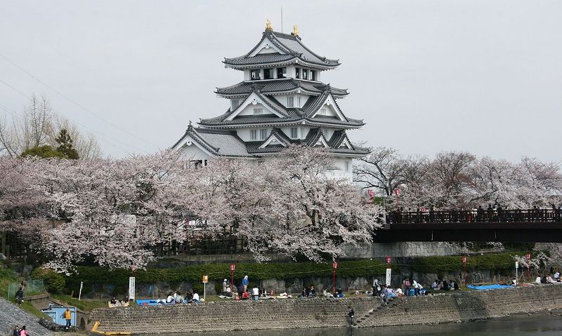 Sunomata Castle during the cherry blossom season, Gifu.