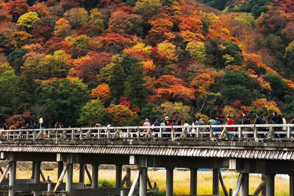 togetsukyo_bridge_autumn_colors