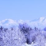 7-Day in Hokkaido Winter Itinerary