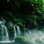 Tohoku Travel Guide 2025-2026